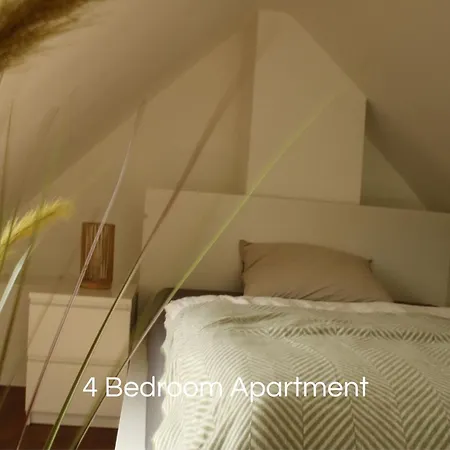 Cozy In Bedburg-hau Apartment *